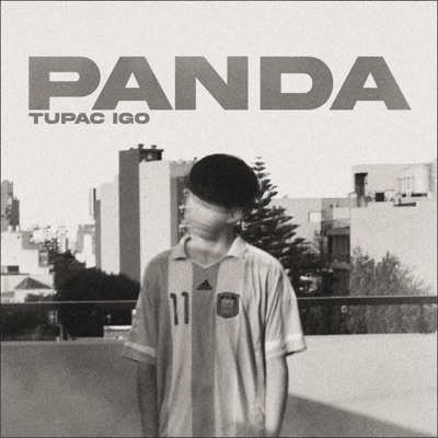 PANDA - Single