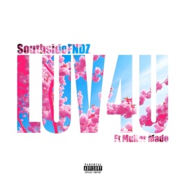 Luv4u (feat. Muller Made) Southside Fndz