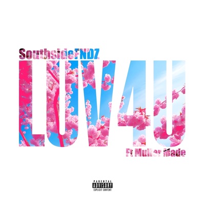 Luv4u (feat. Muller Made) - Single