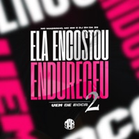ELA ENCOSTOU ENDURECEU - VEM DE BOCA 2 - Single - DJ ZH DA ZS, MC GW, Mc Magrinho & Maresia Oficial