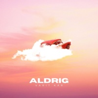 Aldrig Varit Kär (Remix) - Single - Hugge & Kevin Jansson