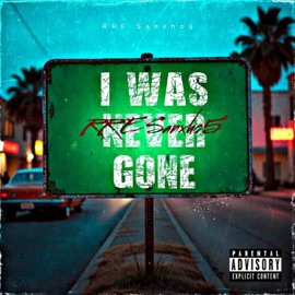 I was never gone sanxho5
