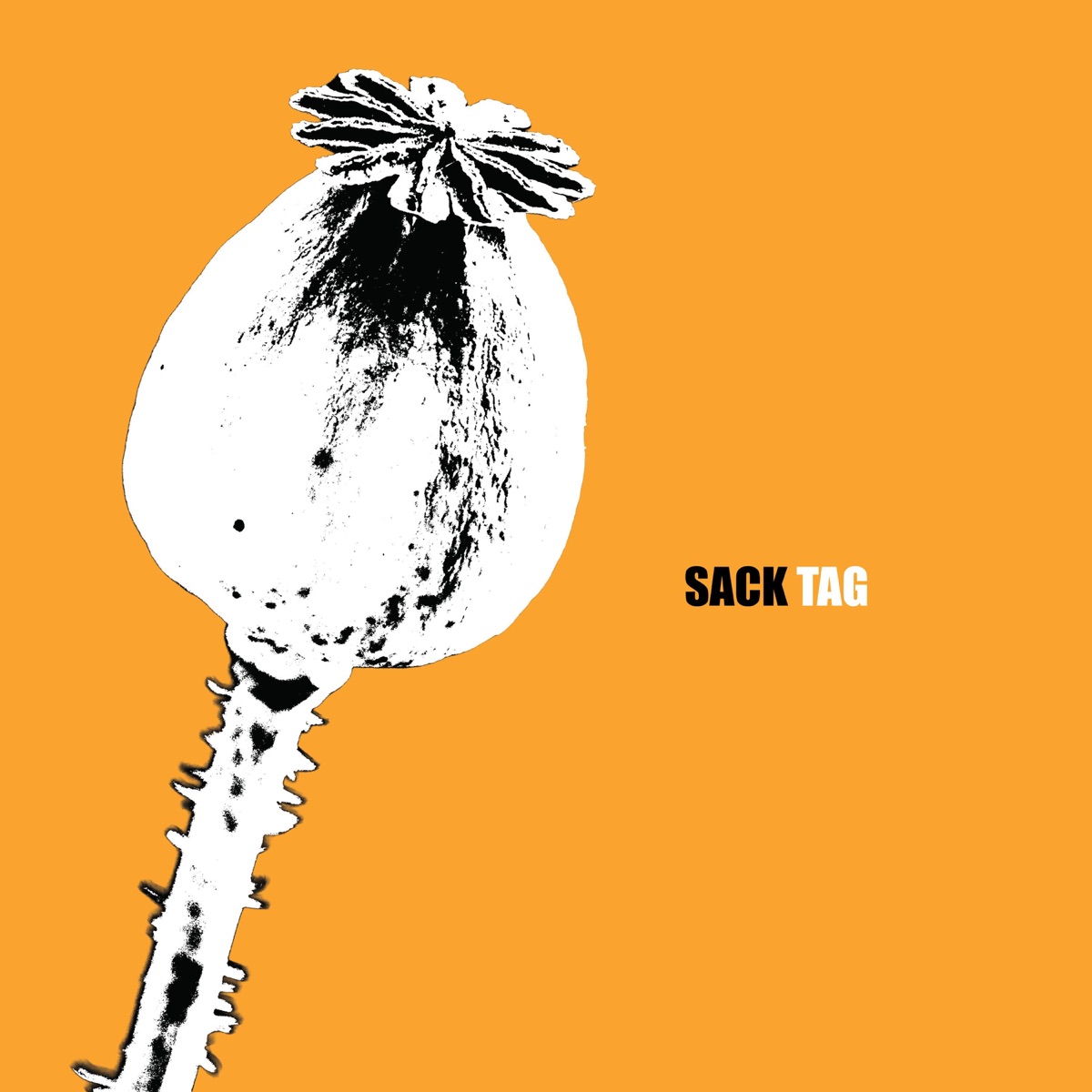 Tag cover