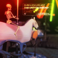 The Underground - Single - Sub6 & Evi Orgatz