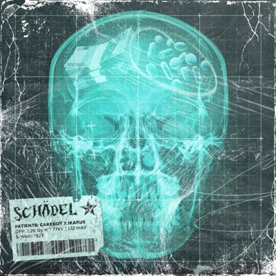 Schädel - Single