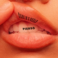 Album cover for PIENSO by Dani M & Beéle