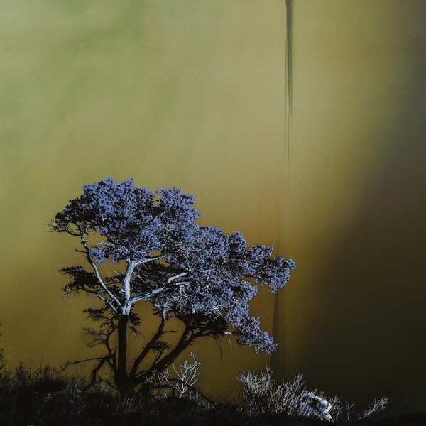 Omen Loop - Single