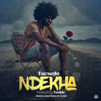 Ndekha (feat. Tashie) - Single