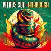 Anaconga