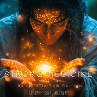 Strong Medicine Vol. 4 (Lineage Of The Sonic Shamans) - Larimar Sound Alchemy