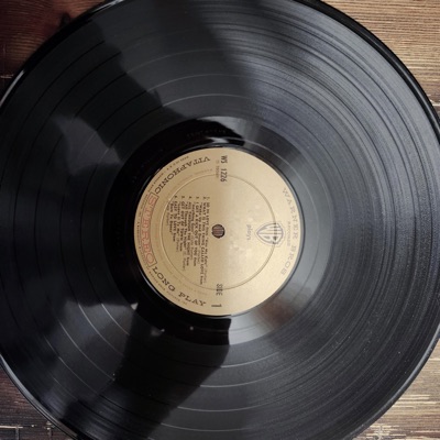 Should've Been On Vinyl