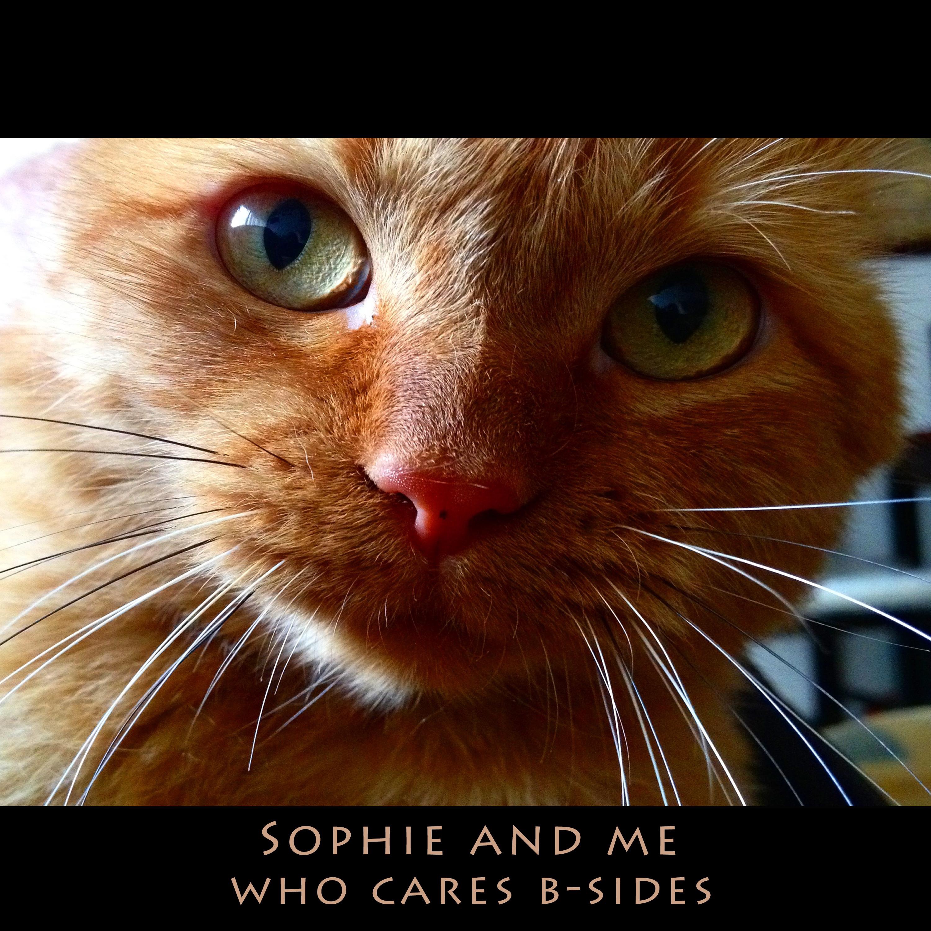 Who Cares B-Sides - EP