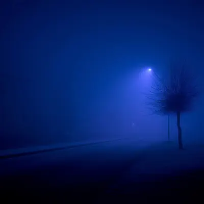 聆聽 astralis 的「somewhere - Single」