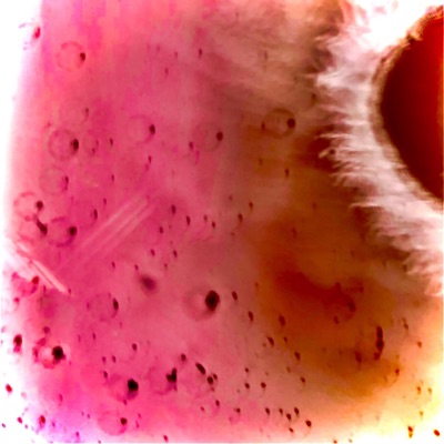 My Own World - Single