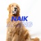 Naik Anjing aja (Remix) artwork