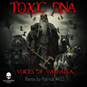Voices of Valhalla - Single