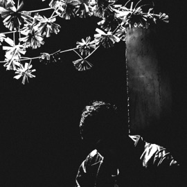 por qué? Donovan Morales