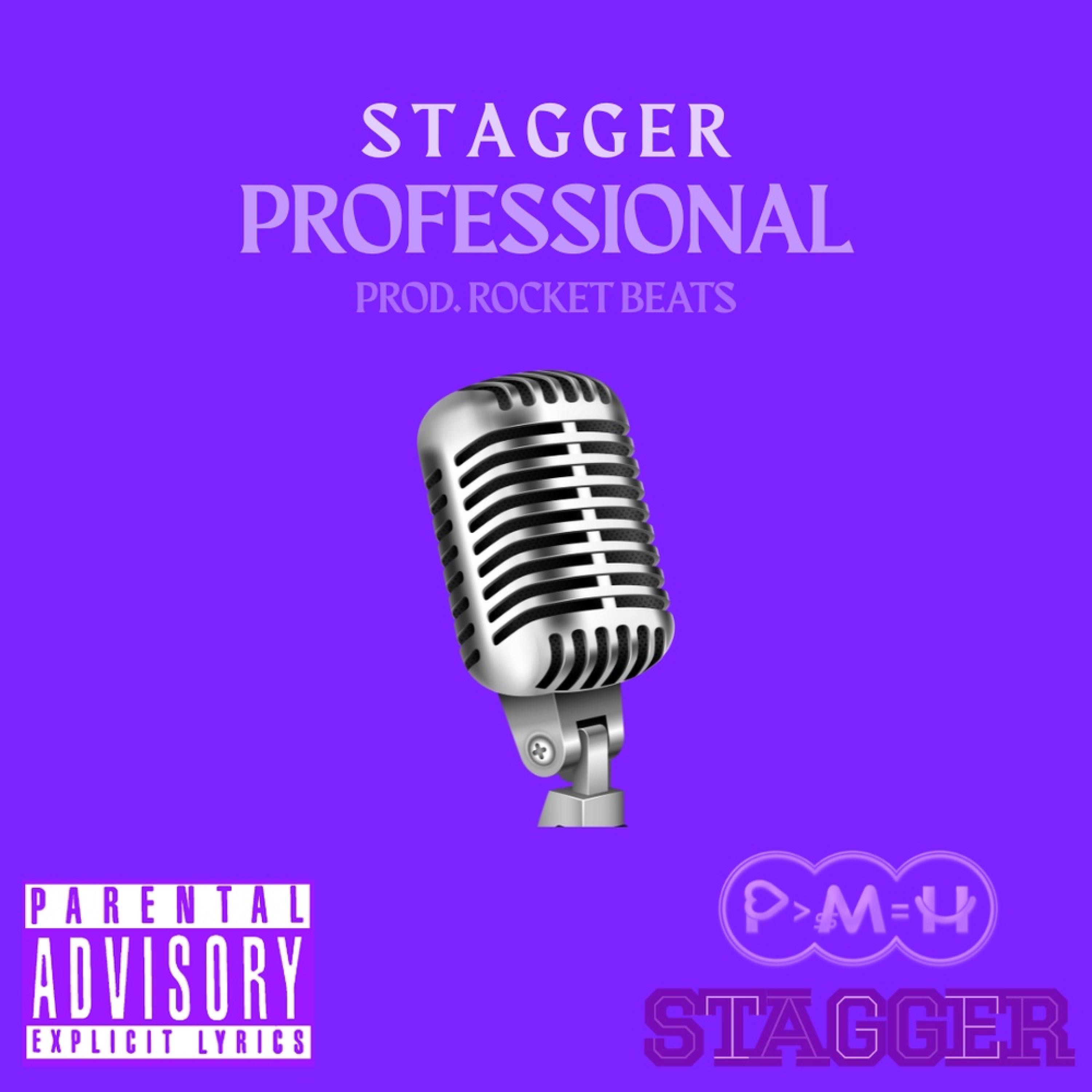 Professional - Single