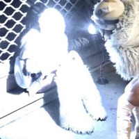 Year (feat. TG) - Single - Dark4z!