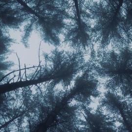 Zaczynam to wiosną BLX