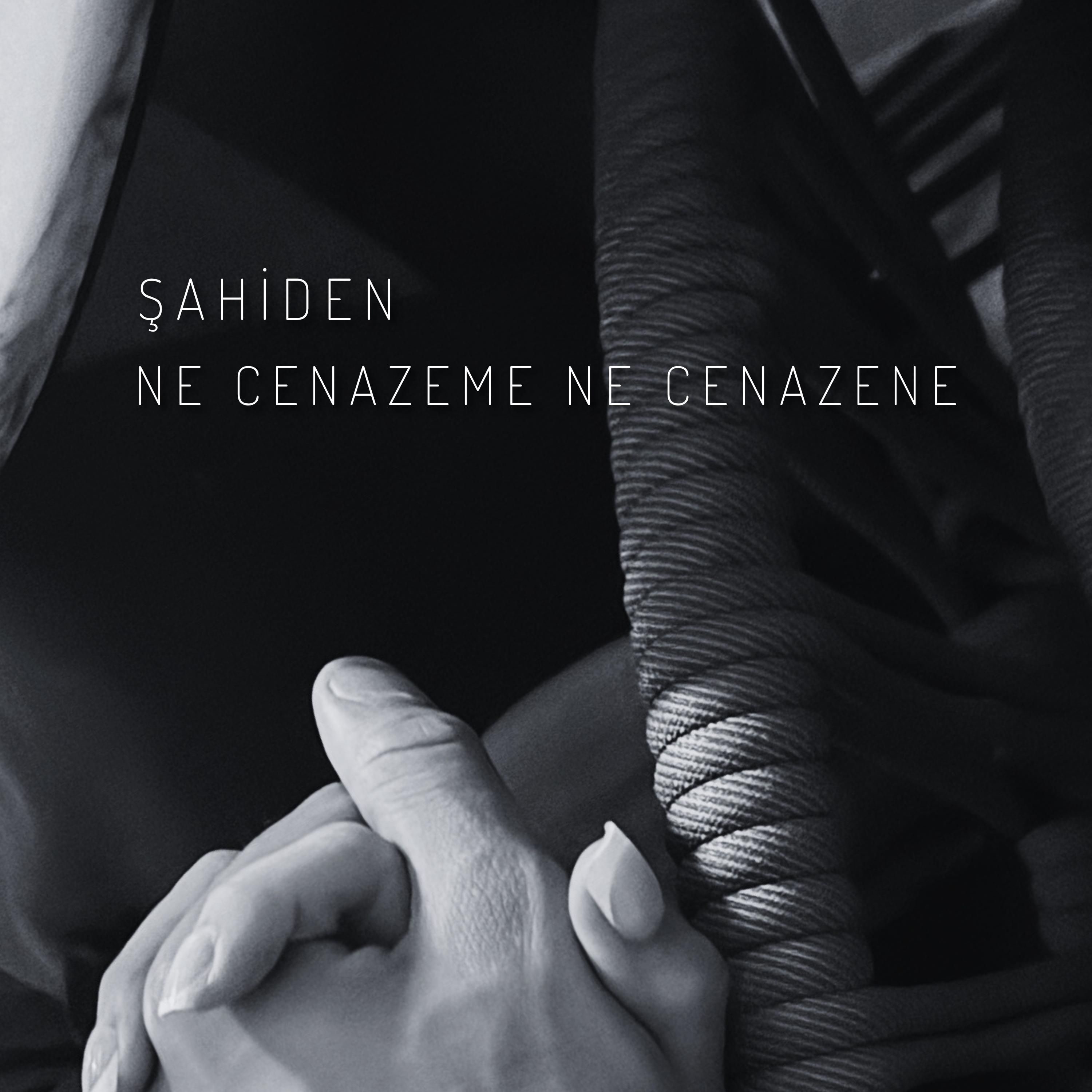 Ne Cenazeme Ne Cenazene - Single