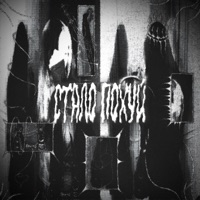 стало похуй - Single - kurokov & mapt0v