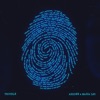 Icon Trouble - Single