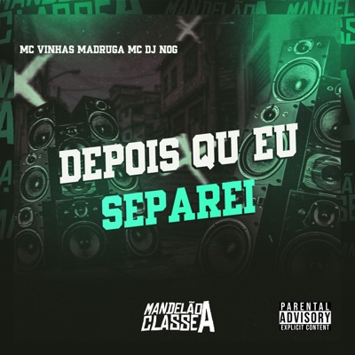 Depois Qu Eu Separei - Single