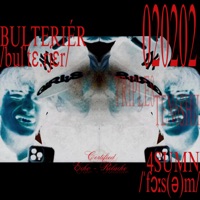 Bulteriér (feat. TRIPLE8) - Single - ten6shii