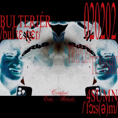 Bulteriér (feat. TRIPLE8) - Single