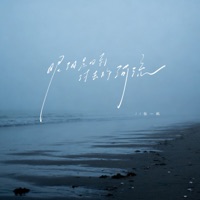 眼泪是回到过去的河流 - Single - 张一帆