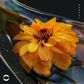 Honest Koastle & DLG.