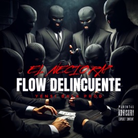 Flow delincuente el necio rap