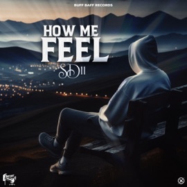 How Me Feel SD11 & Buff Baff