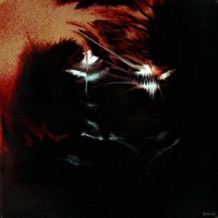 pricee - Single - Coldside