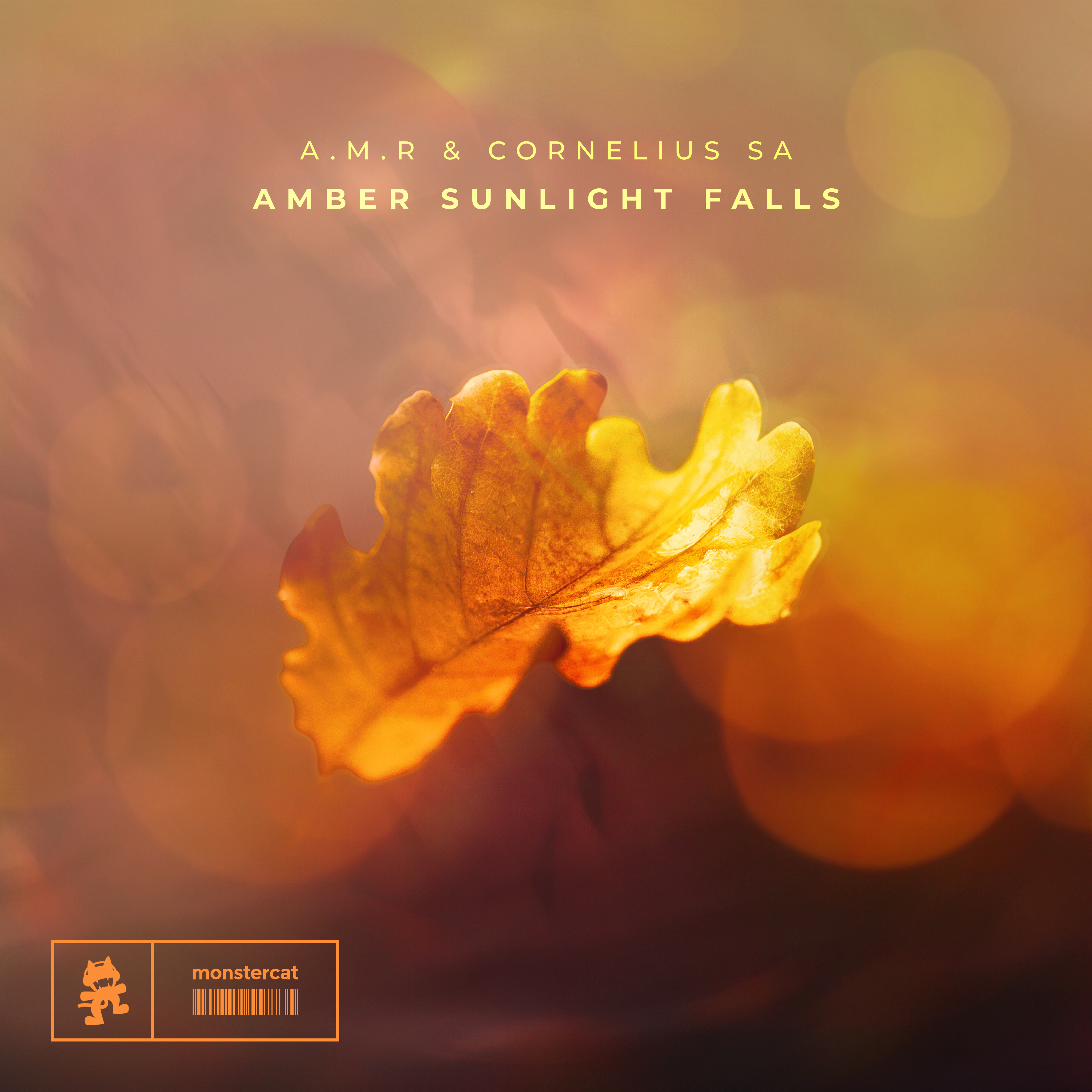Amber Sunlight Falls - Single