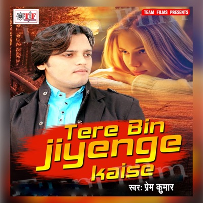 Tere Bin Jiyenge Kaise - Single