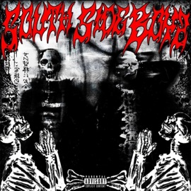 Quem é quem Allys the pilot & Kido