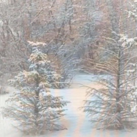 One Day (feat. huxeti) Rocye Fancam