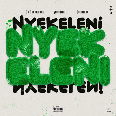 Nyekeleni - Single