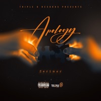 Apology - Single - Zerimar