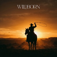 Wildborn - EP - The Forge, Ted D'souza & David Souza Guitar