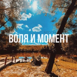Воля и момент AetoOn