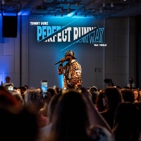 Perfect Runway - Single - Tommy Gunz