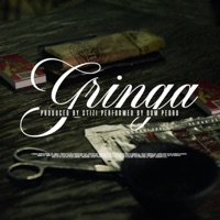 Gringa - Single - DJ Stizi & Dom Pedro BLK