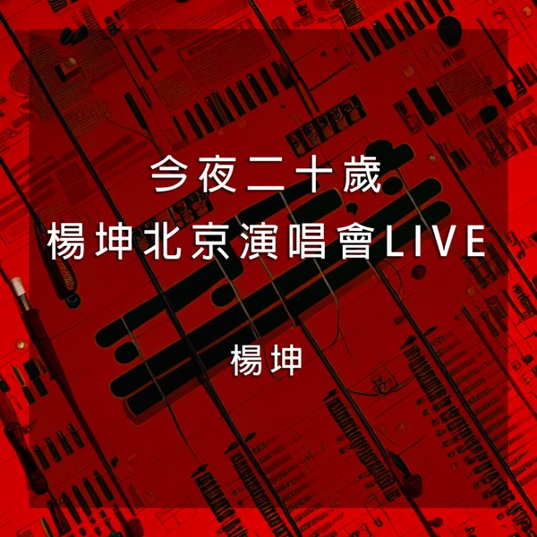 今夜二十歲楊坤北京演唱會 (Live)