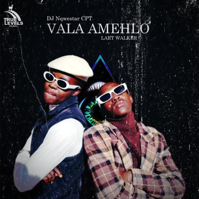 Vala Amehlo (feat. Lart Walker) - Single