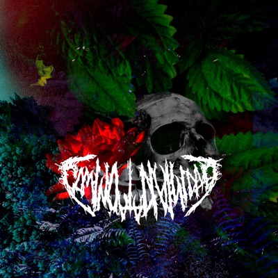 Camino a La Divinidad