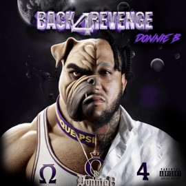 Aint Nothing Like It (feat. Wyfy) Donnie B