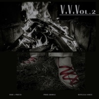 Virguerías varias vol.2 - Single - RNORTE+